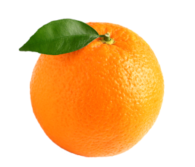 Sinaasappel